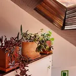 Qhini Hotel Boutique